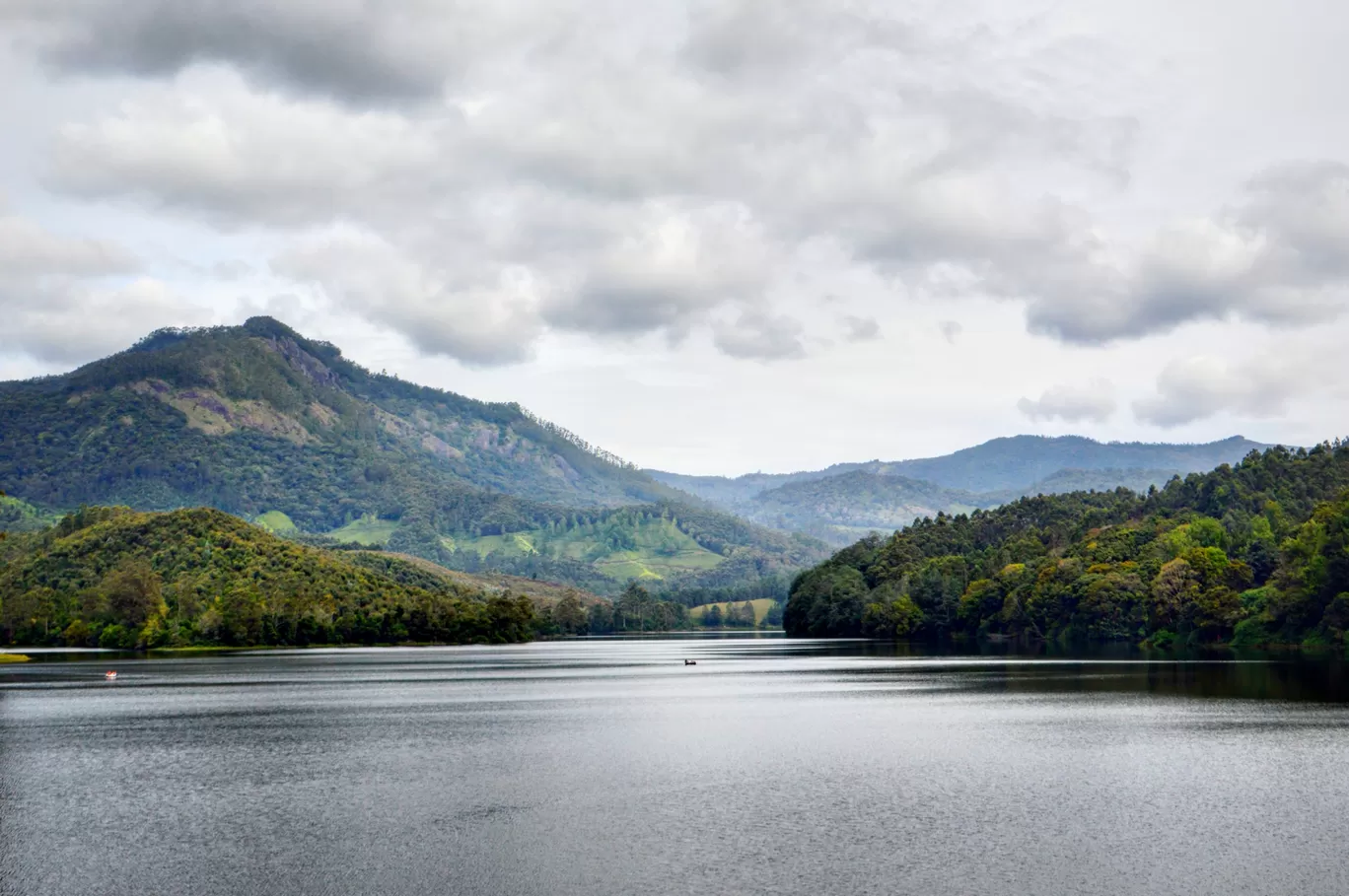 Photo of Munnar By Biswambar Hojai