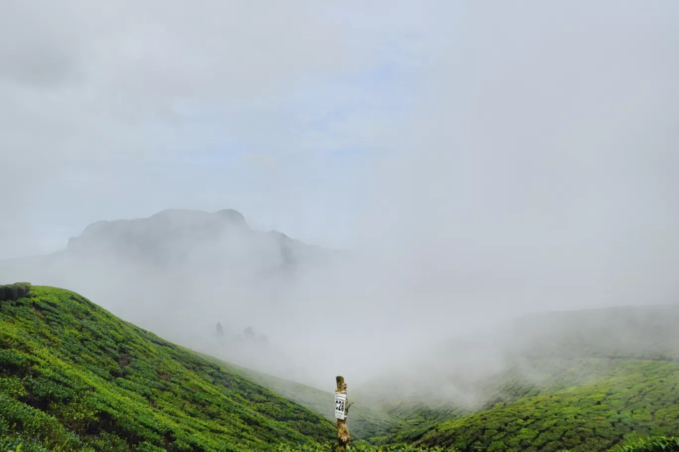 Photo of Munnar By Biswambar Hojai