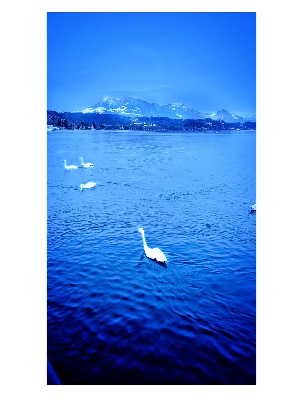 Photo of Switzerland By Diva On Vacay