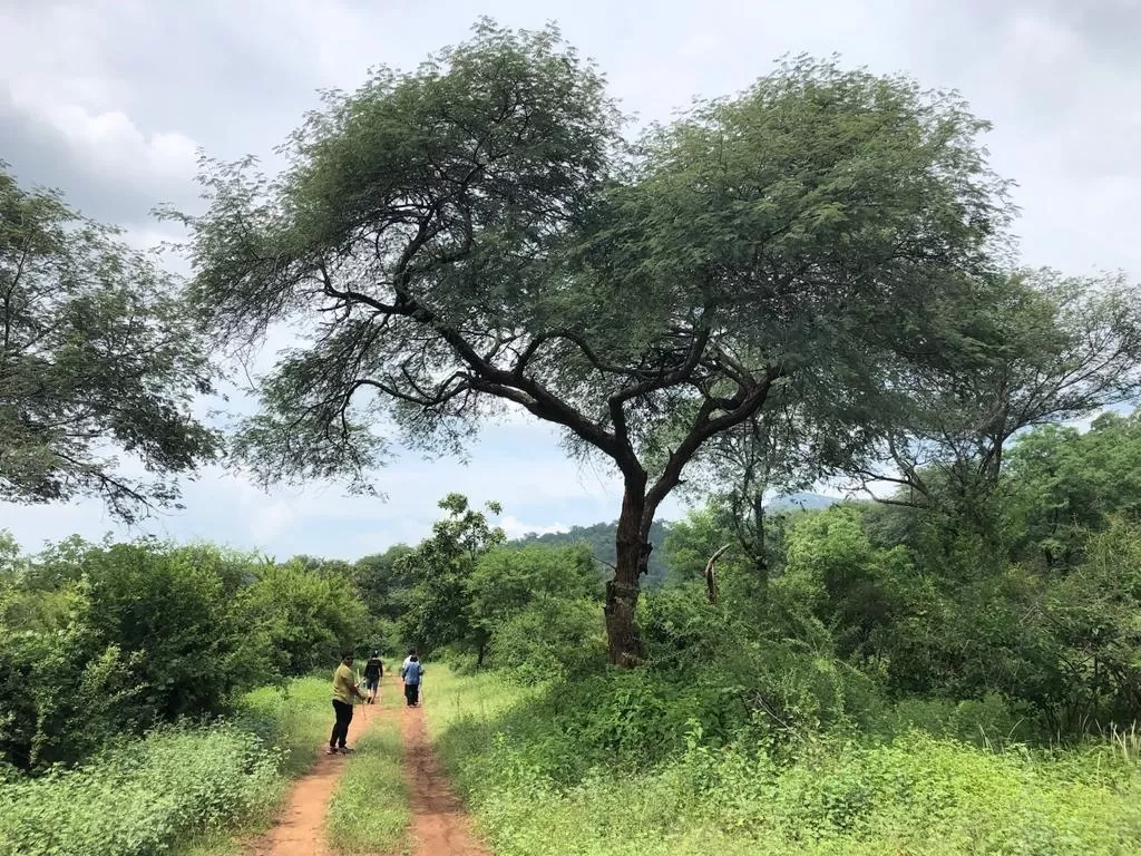 Photo of Galibore Nature Camp By Chayanika Sen