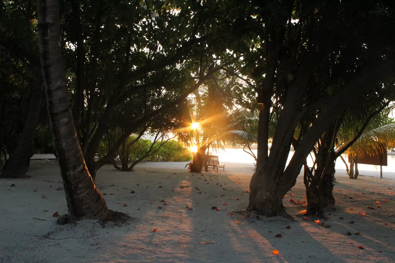 Photo of Paradise Island Resort By Renu Mahajan