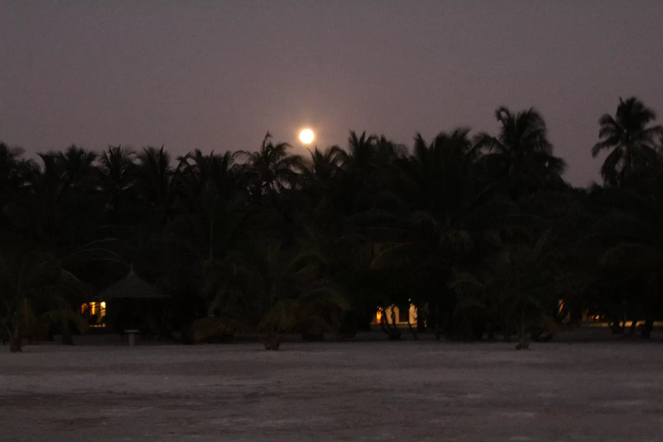 Photo of Paradise Island Resort By Renu Mahajan