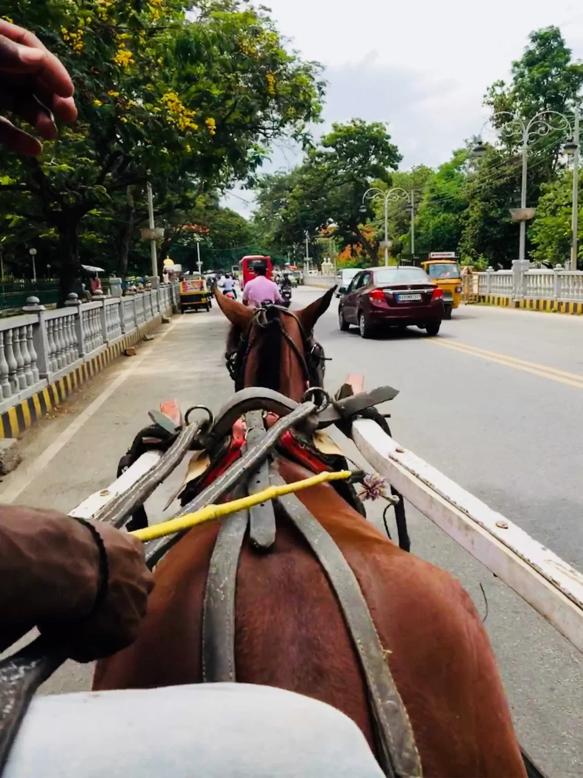 Photo of Mysore By Simi