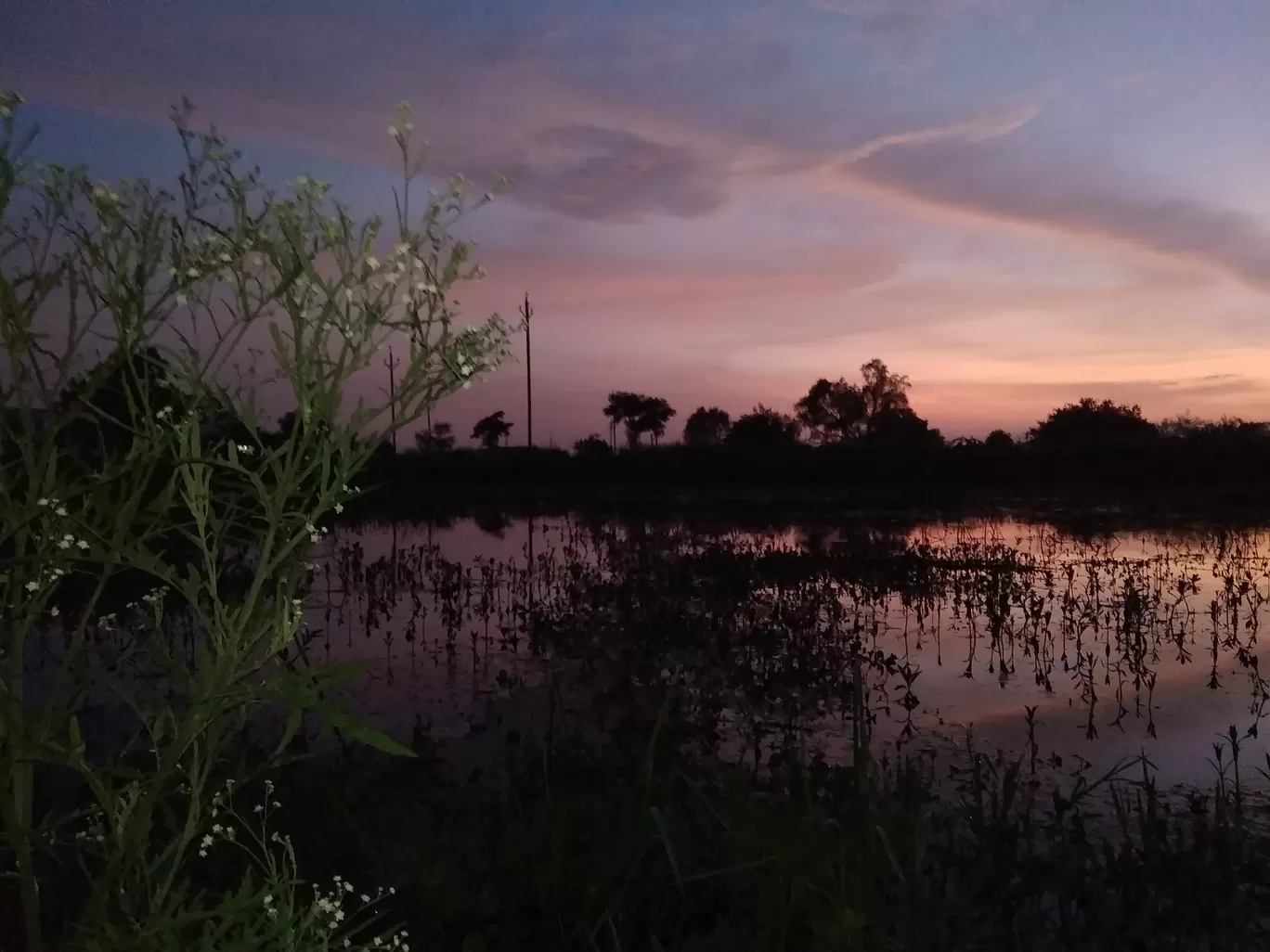 Photo of Bilaspur By Abhinava Mukherjee