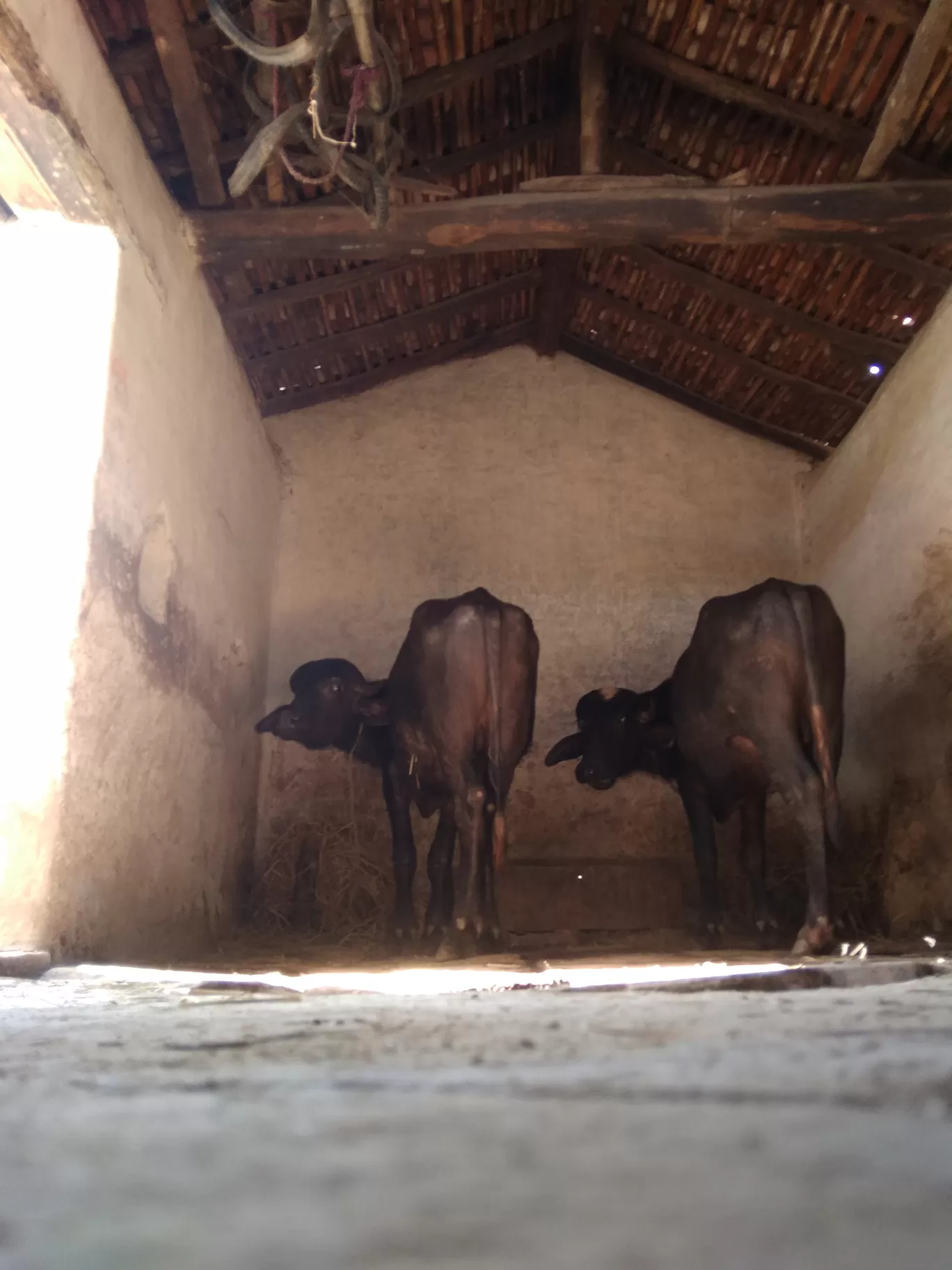 Photo of Bilaspur By Abhinava Mukherjee