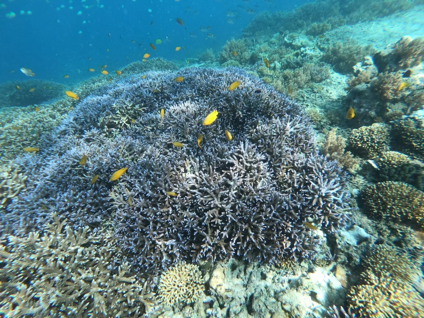 Photo of Gili Trawangan By Zafir Syed