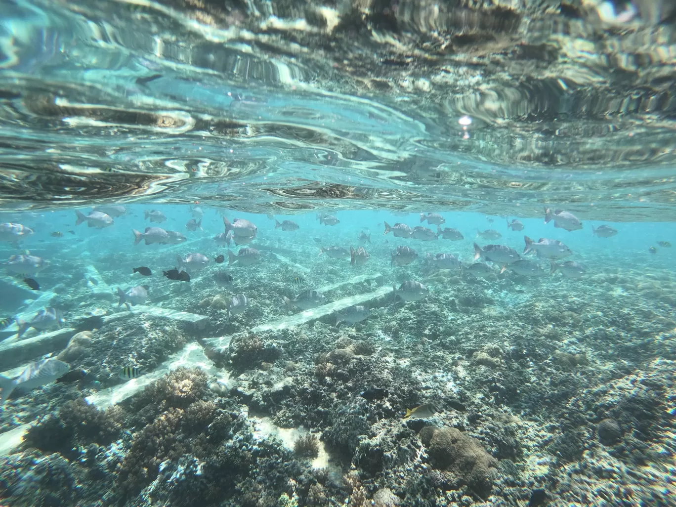 Photo of Gili Trawangan By Zafir Syed