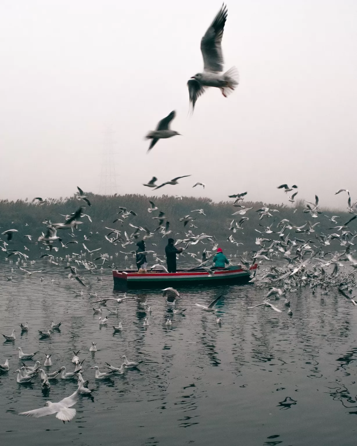 Photo of Yamuna Ghat By shahzaib Ahmed