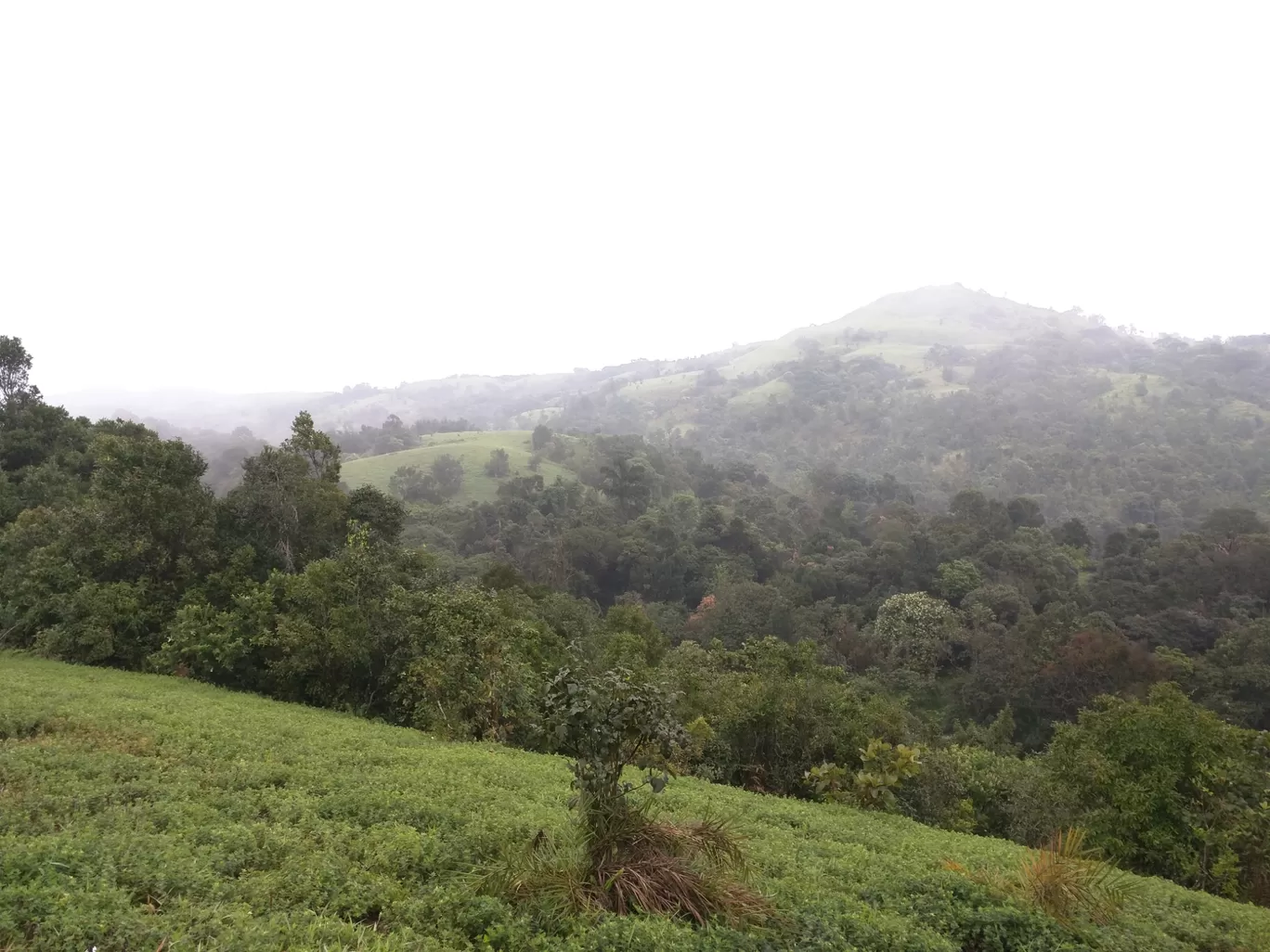 Photo of Coorg By Prashun Vikash