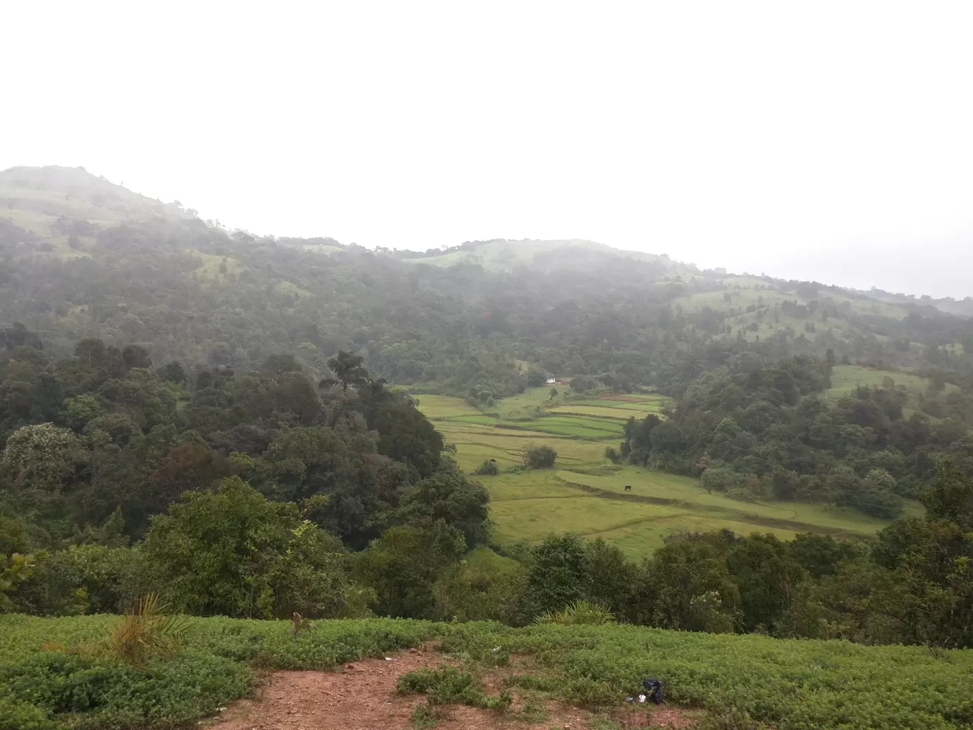 Photo of Coorg By Prashun Vikash