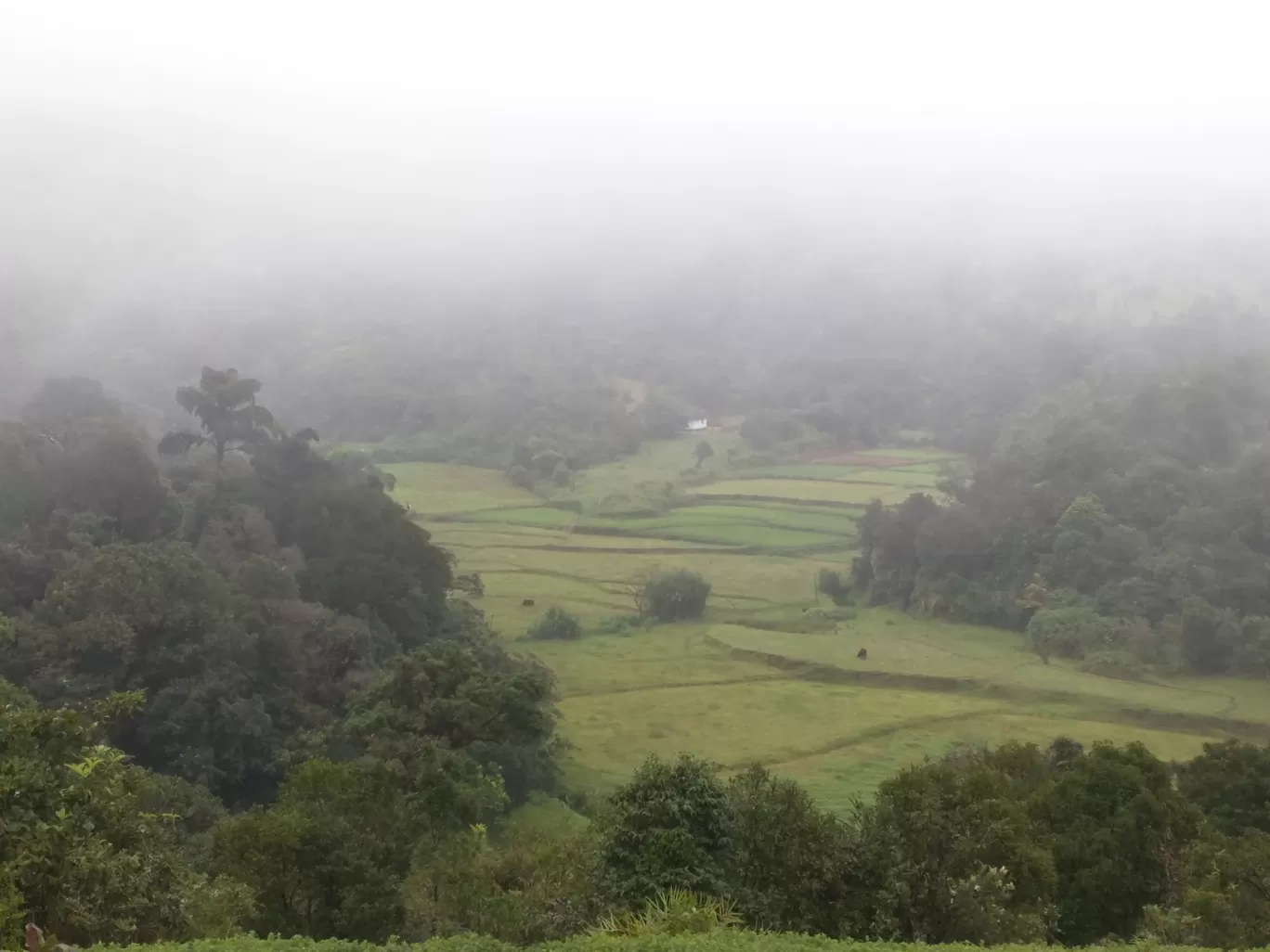 Photo of Coorg By Prashun Vikash
