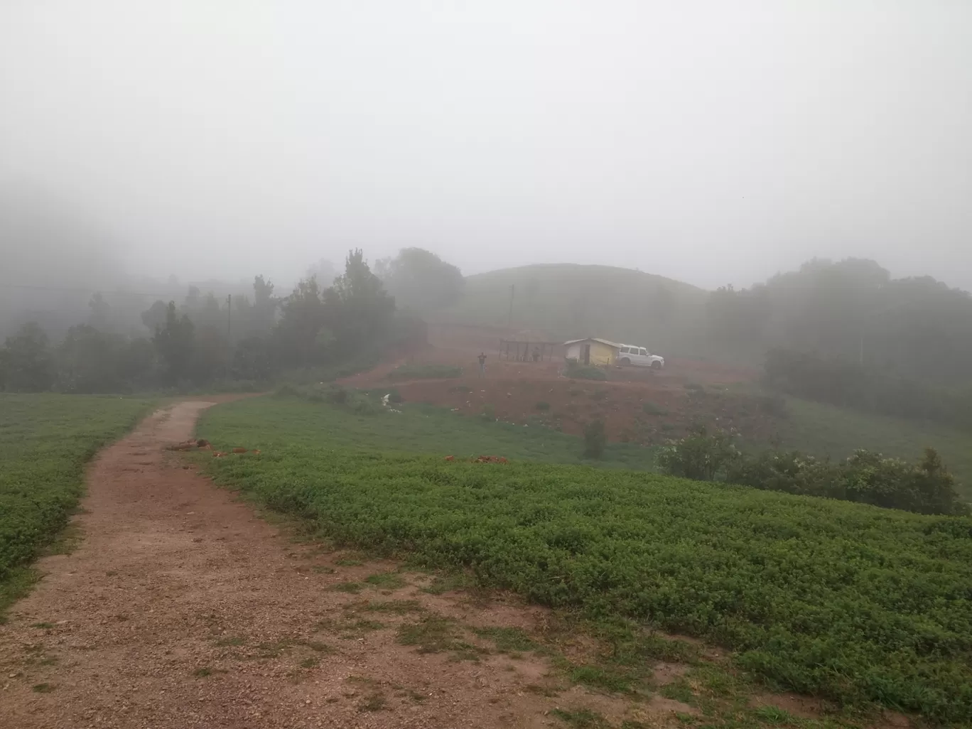 Photo of Coorg By Prashun Vikash