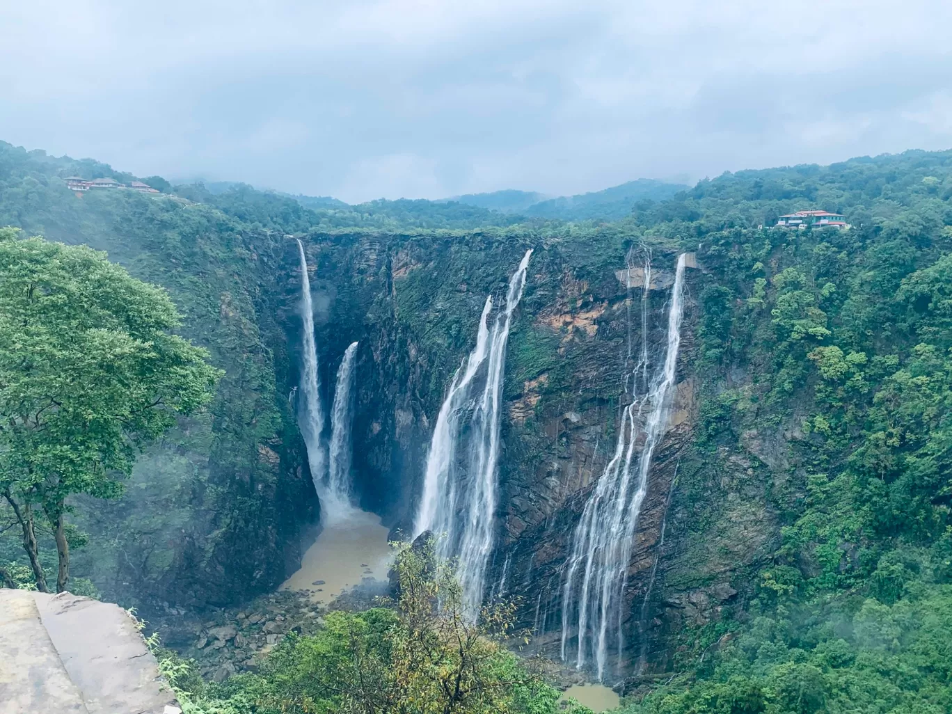 Photo of Jog Falls By Teja 