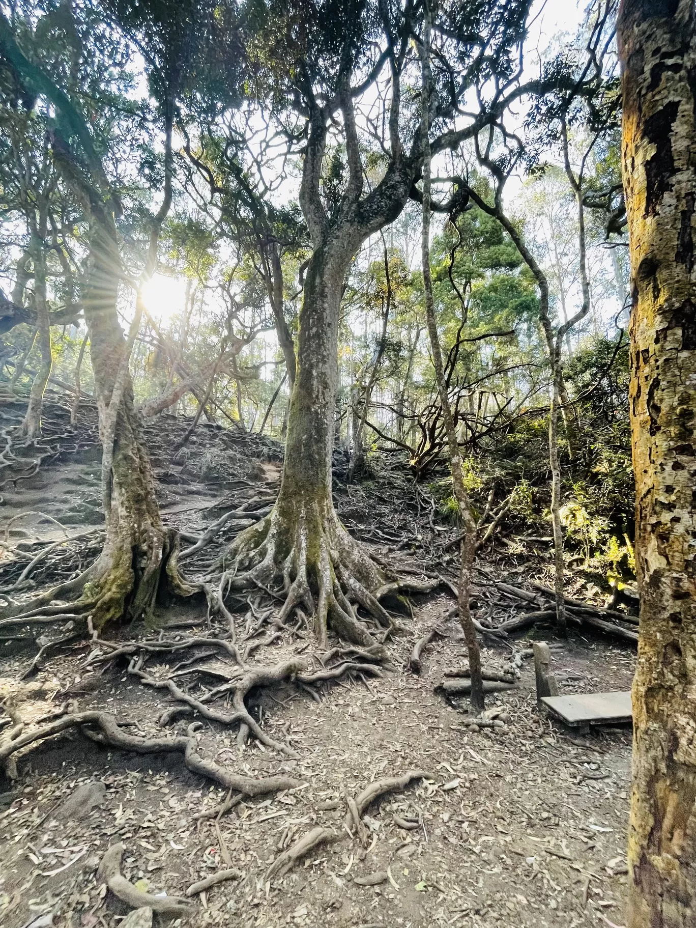 Photo of Guna Caves By Teja 