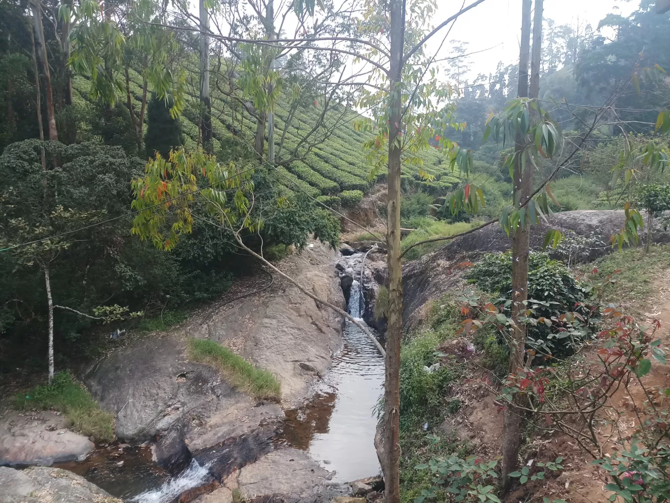 Photo of Meghamalai By Sudhakar Madras Moorthy 