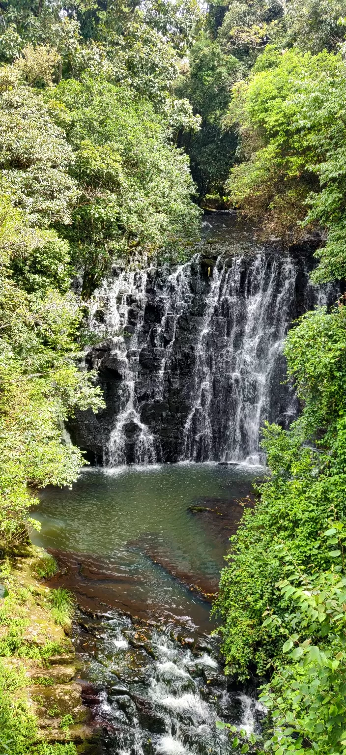 Photo of Elephant Falls By Danielle Gonsalves