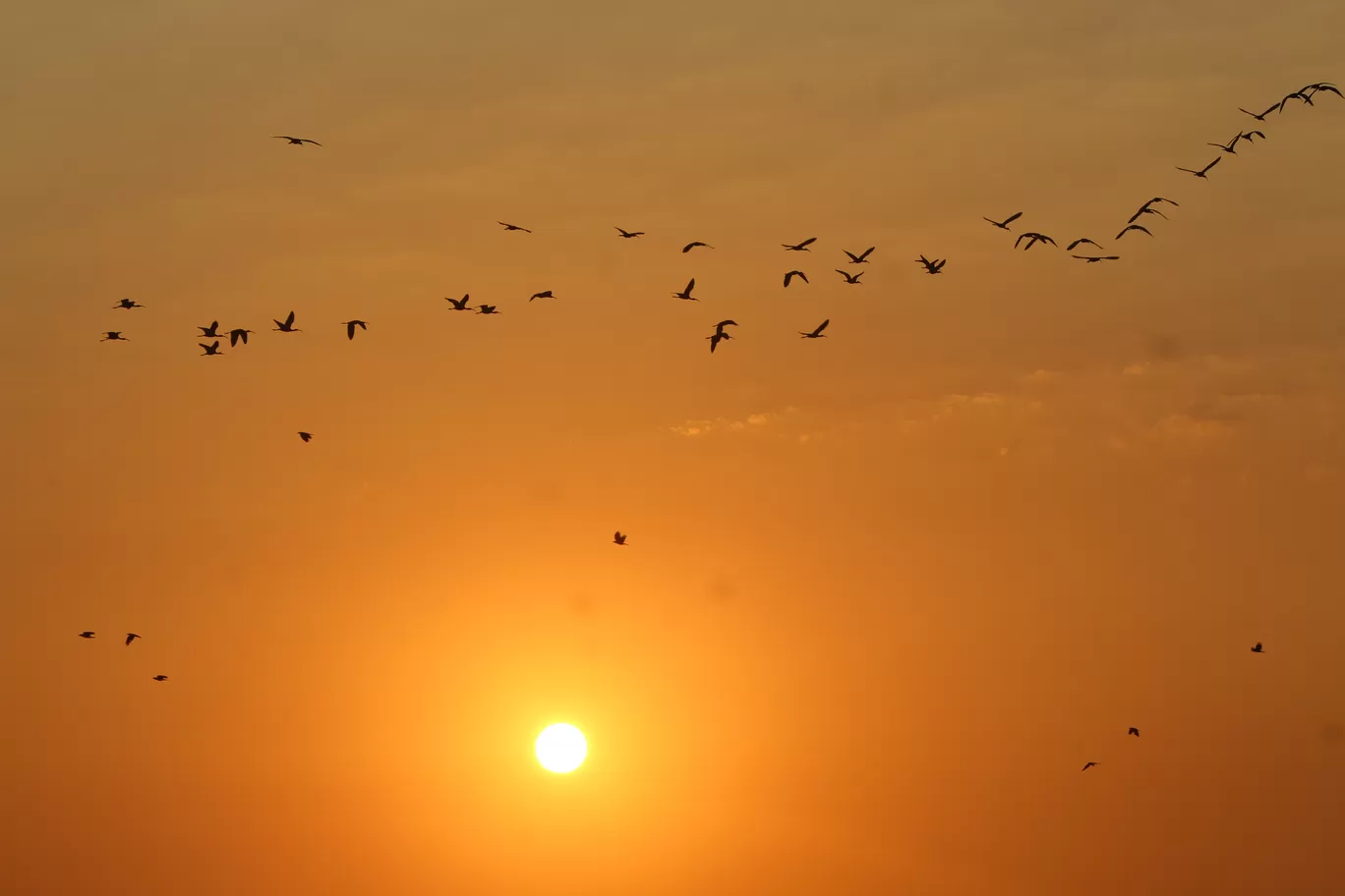 Photo of Dombivli By Shrayesh Kelkar