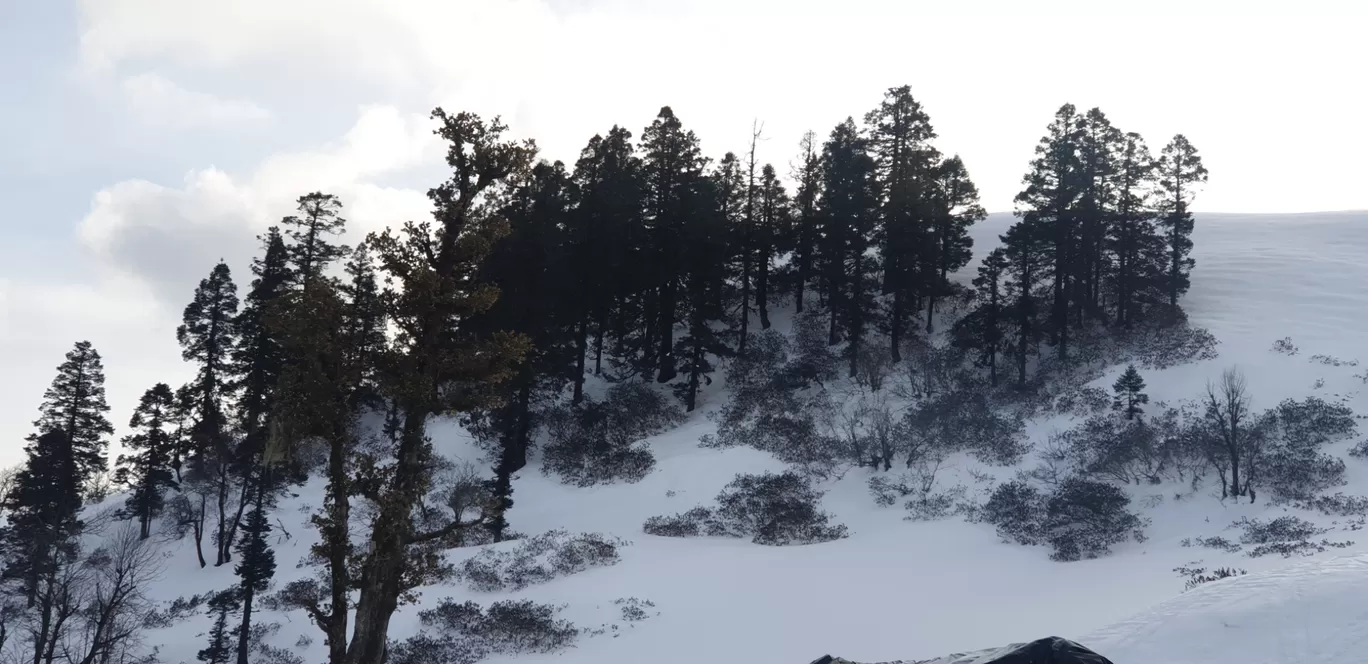 Photo of Kedarkantha Peak By Vihar Surani
