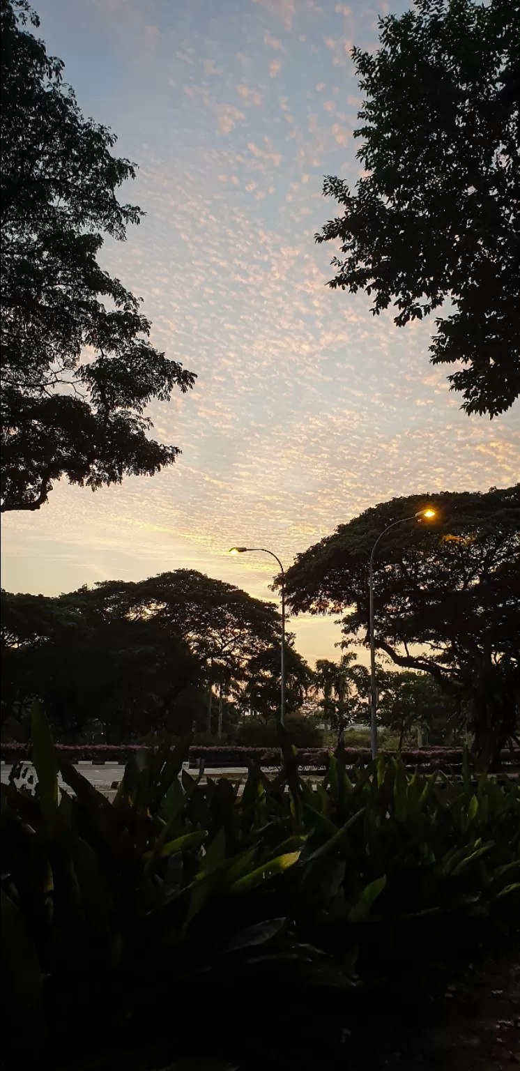 Photo of East Coast Parkway By Shailja Bisht
