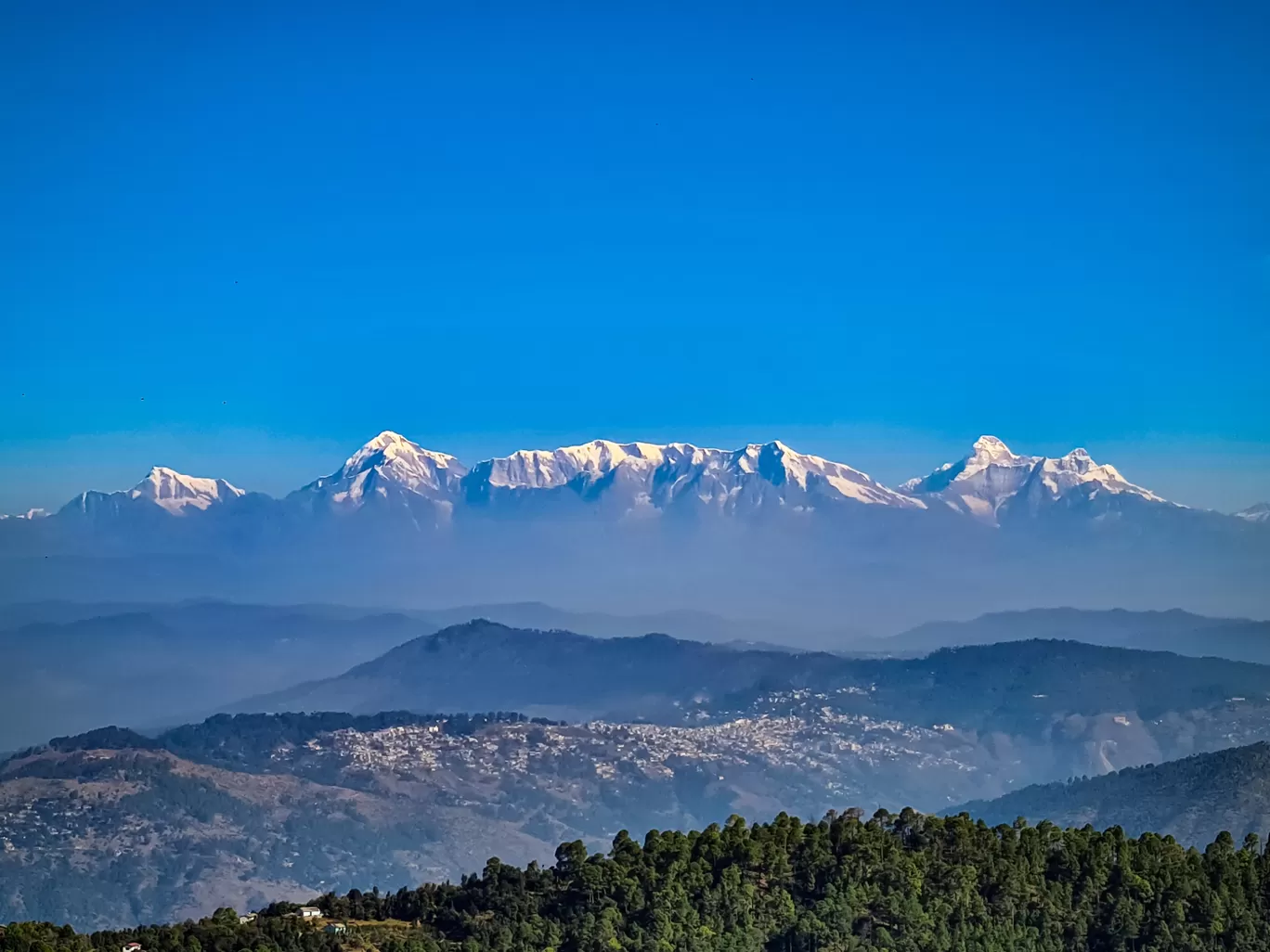 Photo of Binsar Wildlife Sanctuary By Shailja Bisht