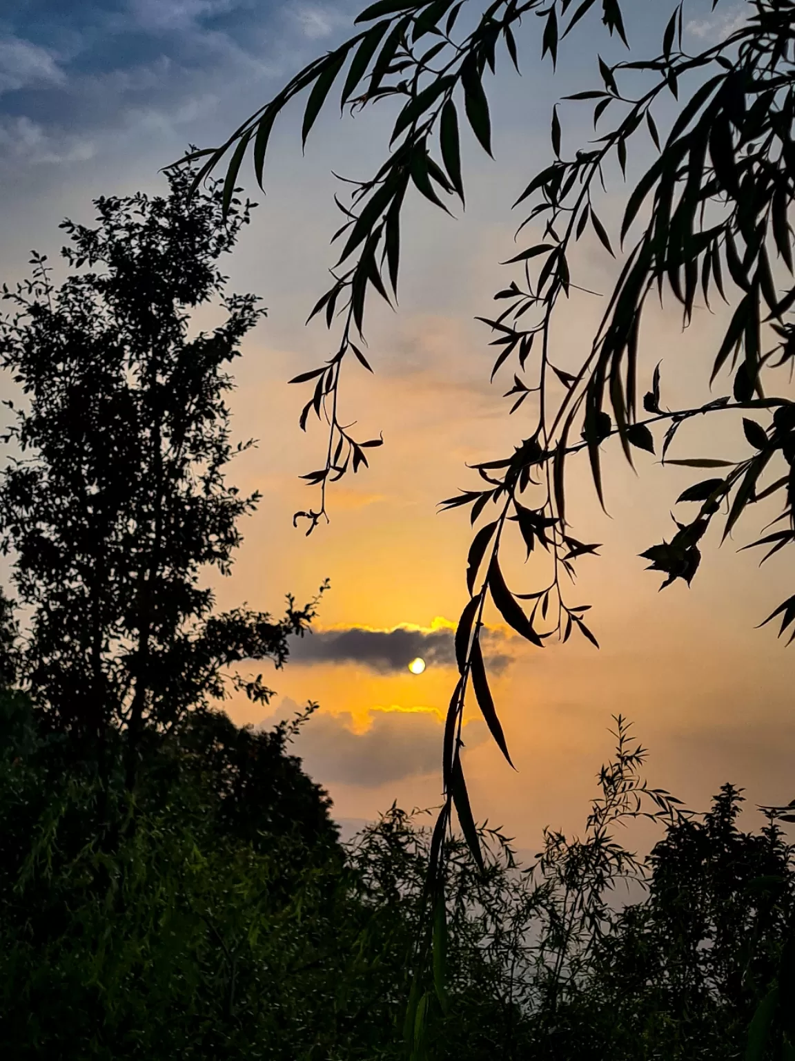 Photo of SargaKhet By Shailja Bisht