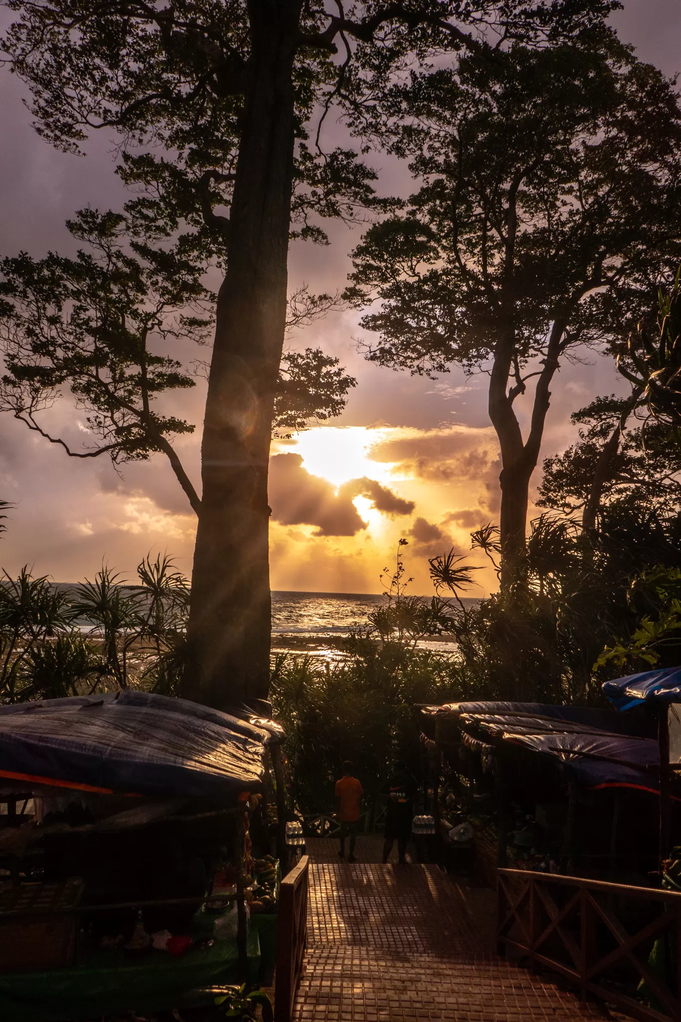 Photo of Andaman Islands By Postcard Chronicles