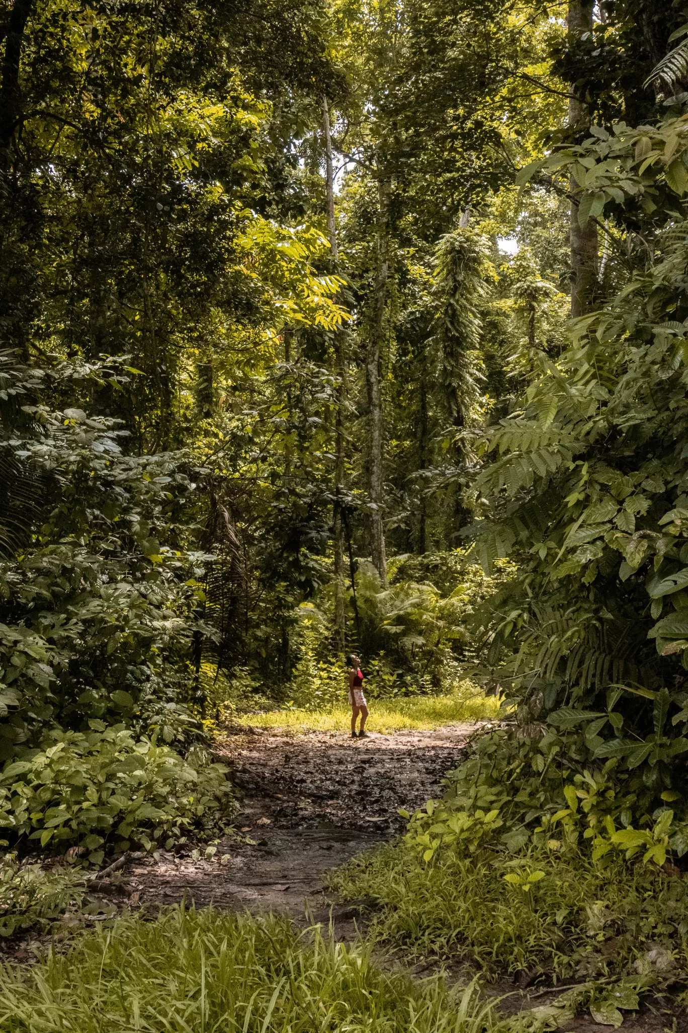 Photo of Andaman Islands By Postcard Chronicles