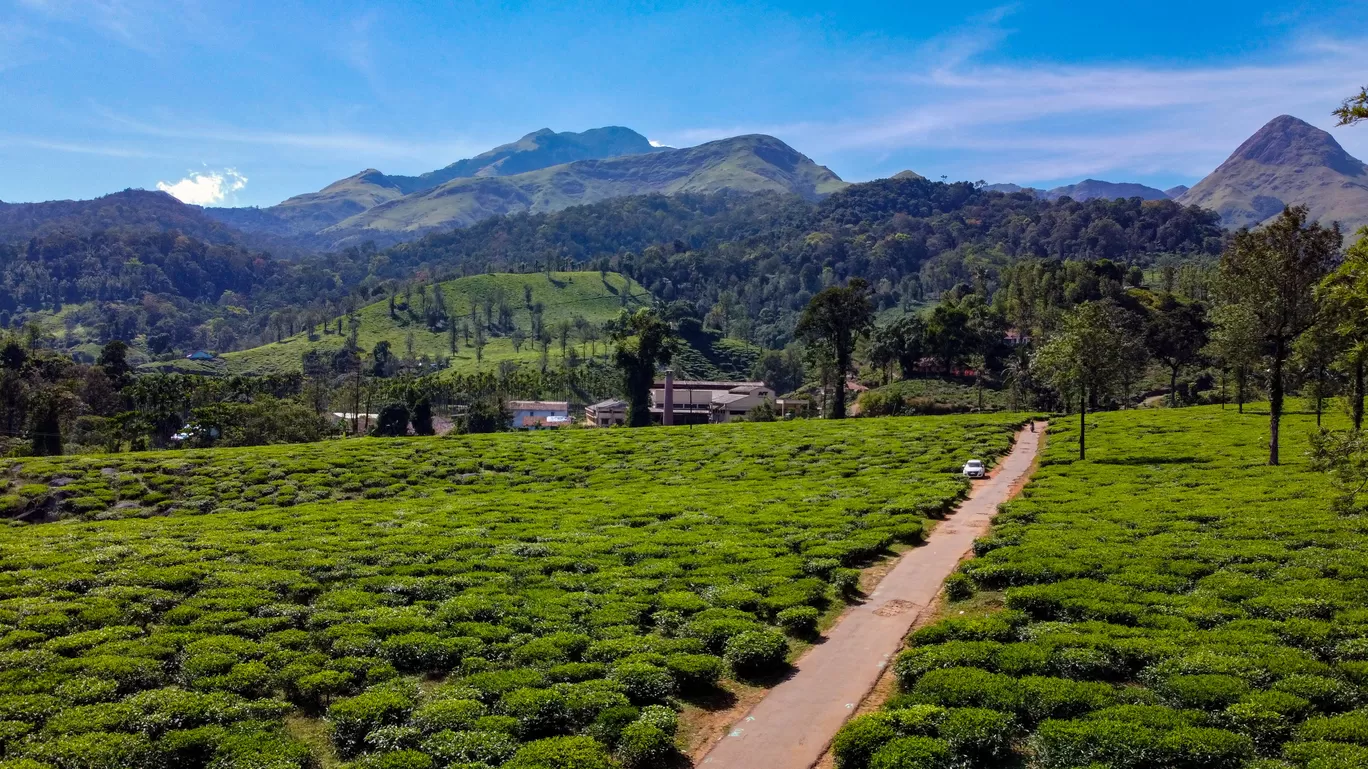 Photo of 900kandi ELA BLOOMS By Anoop B Vyas