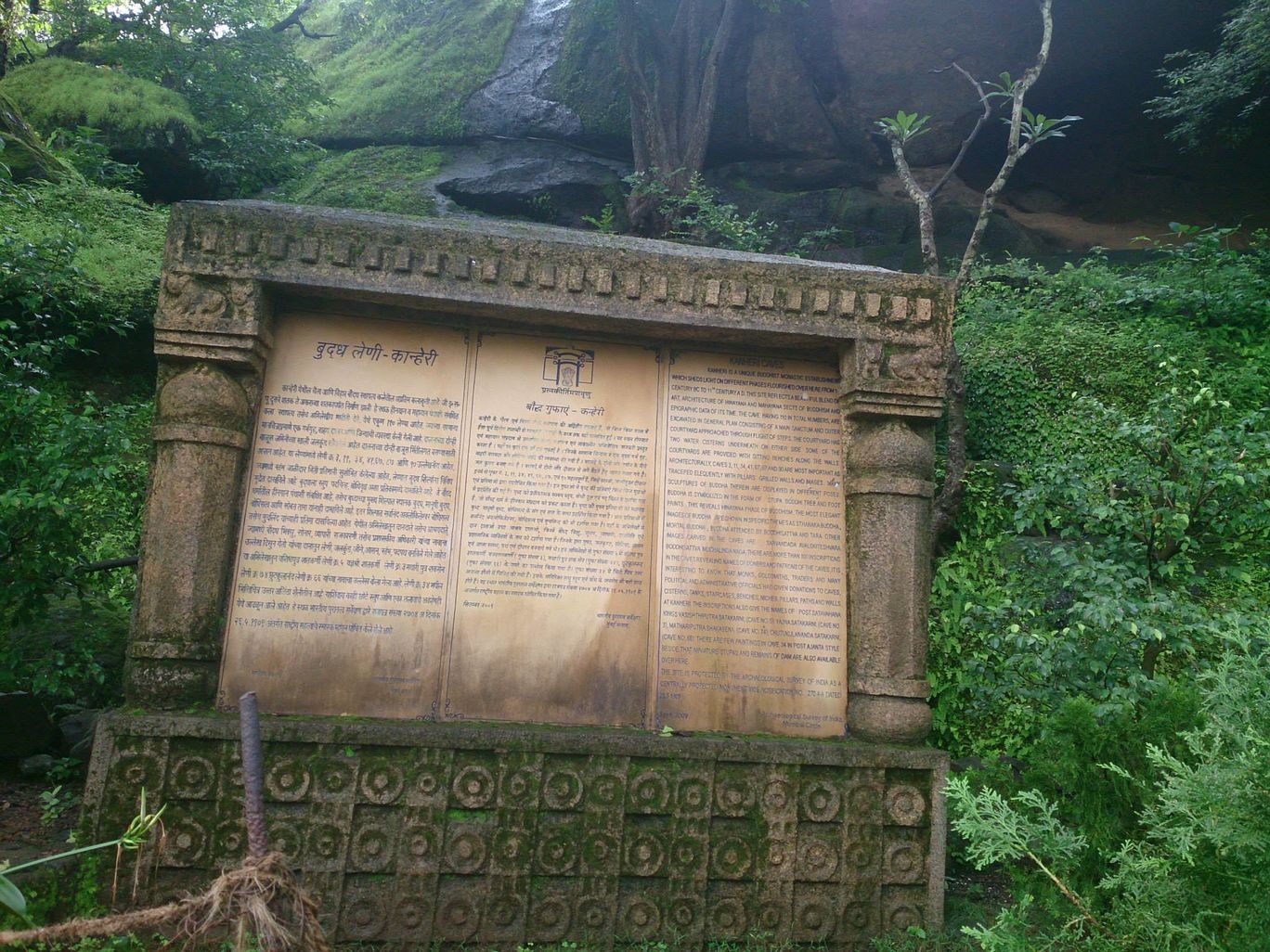 Photo of Jambhulmal, Sanjay Gandhi National Park, 18th August 2013 By Winnie Karnik