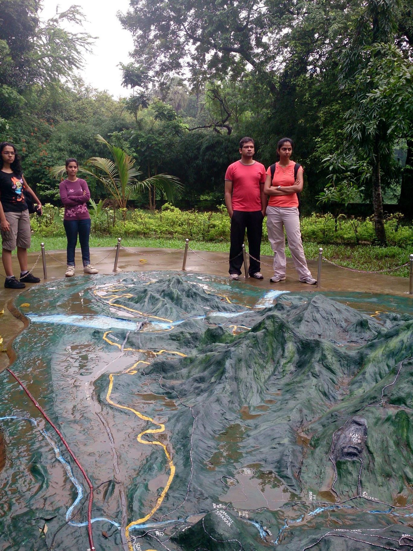 Photo of Jambhulmal, Sanjay Gandhi National Park, 18th August 2013 By Winnie Karnik