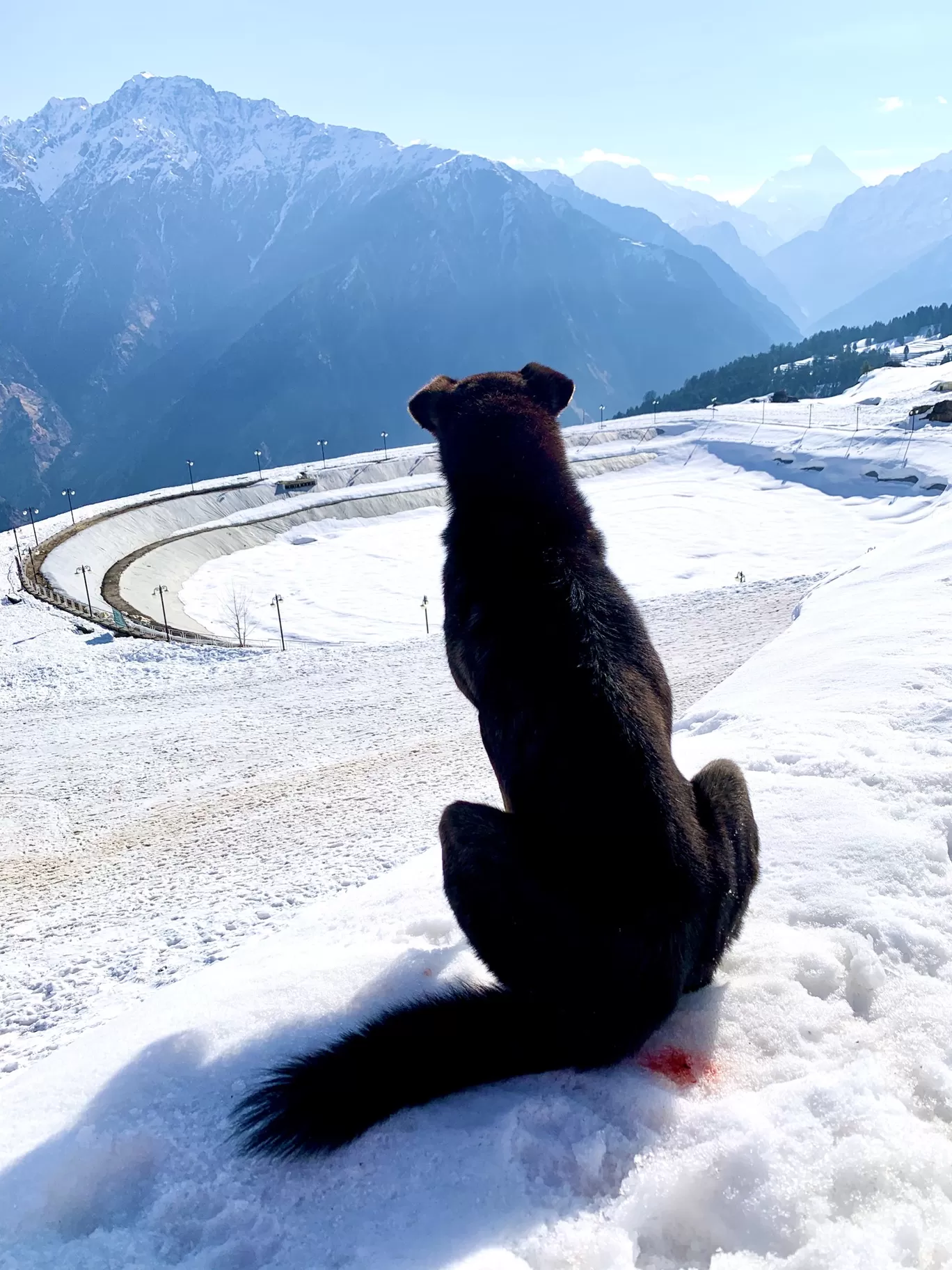 Photo of Auli By Sasi selvi 