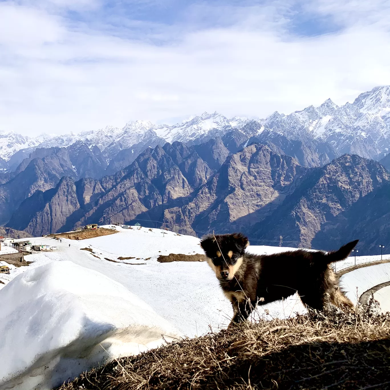 Photo of Auli By Sasi selvi 