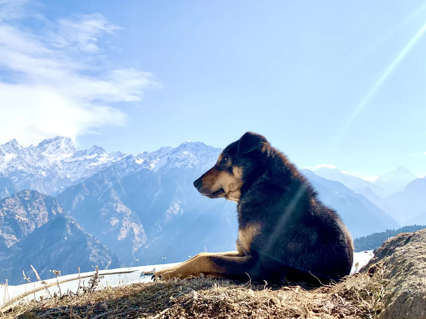 Photo of Auli By Sasi selvi 