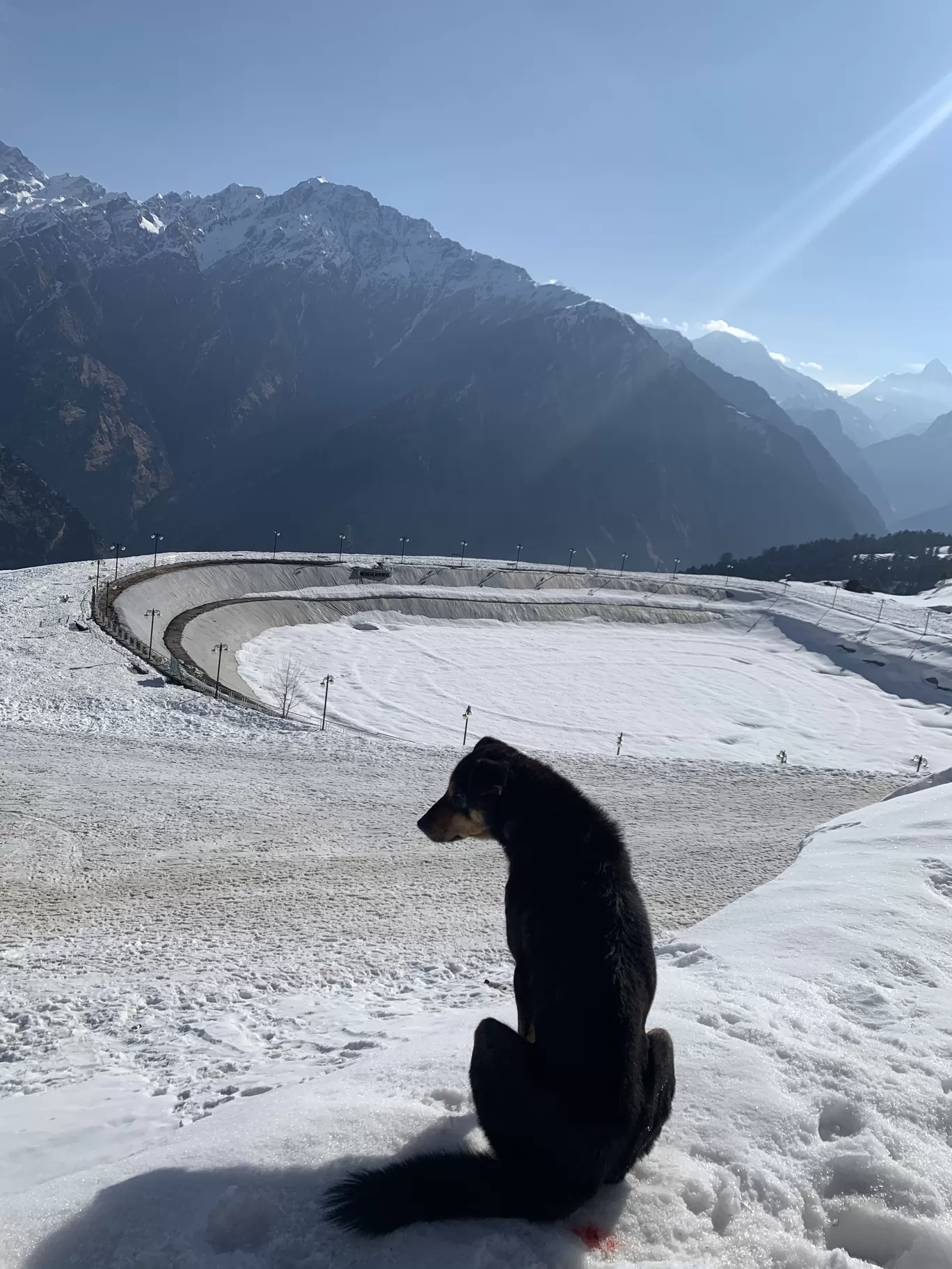 Photo of Auli By Sasi selvi 