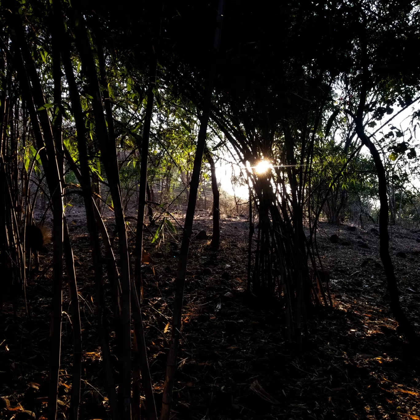 Photo of Sagar By Aayushmaan Shukla