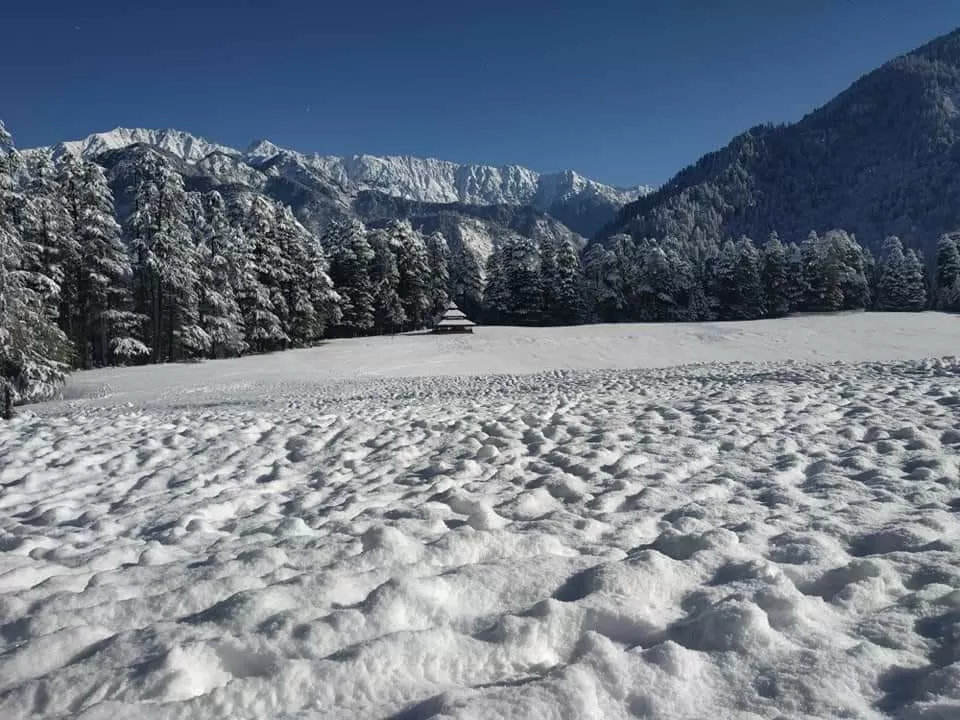 Photo of Shangarh~Hidden beauty of Himachal By Suchi