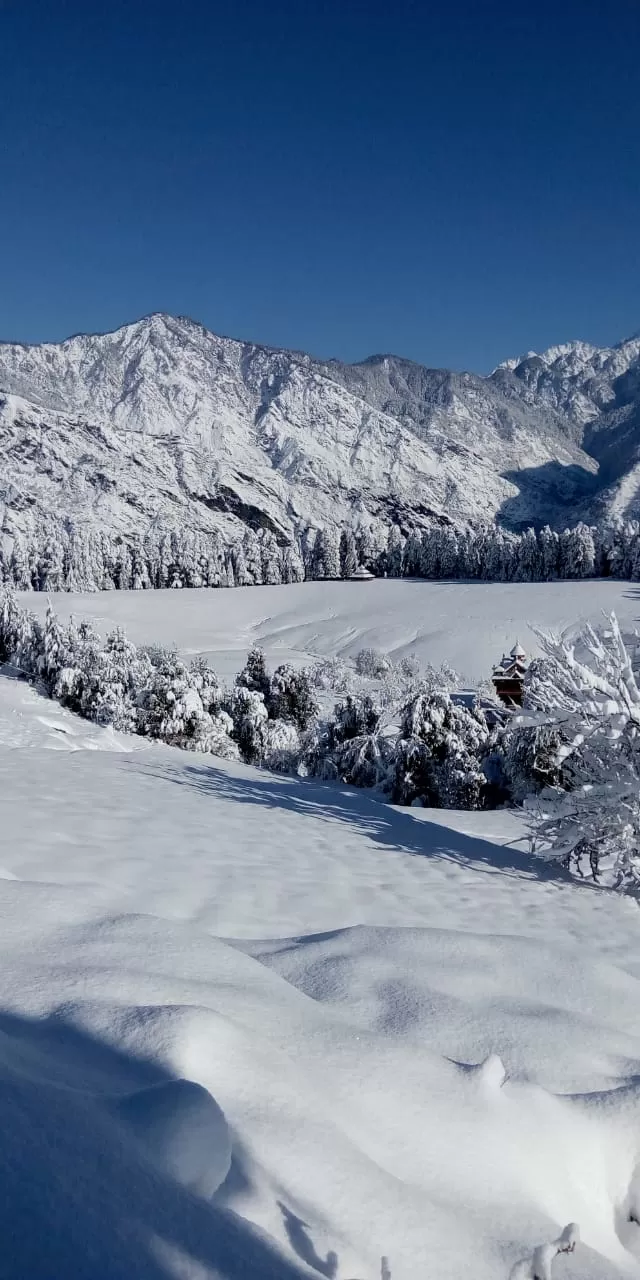 Photo of Shangarh~Hidden beauty of Himachal By Suchi