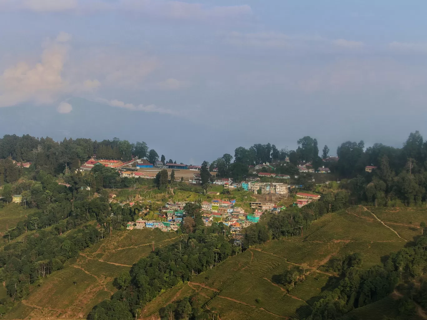 Photo of Darjeeling Tea Garden By Rakshanda Kadam