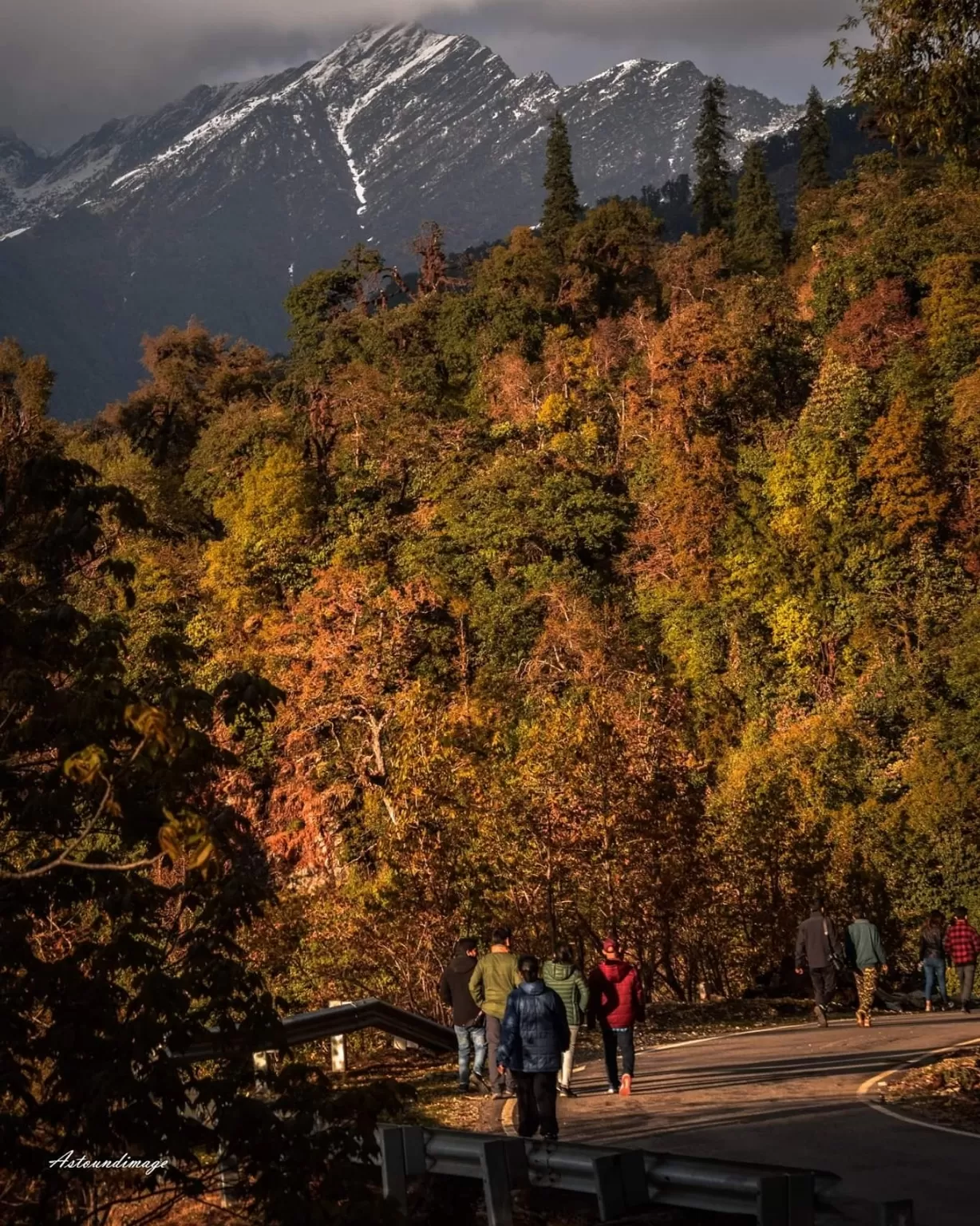 Photo of Chopta By prasenb