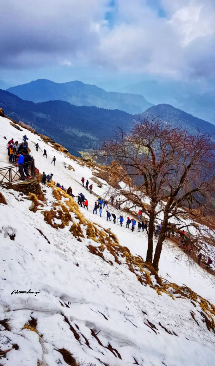 Photo of Chopta By prasenb