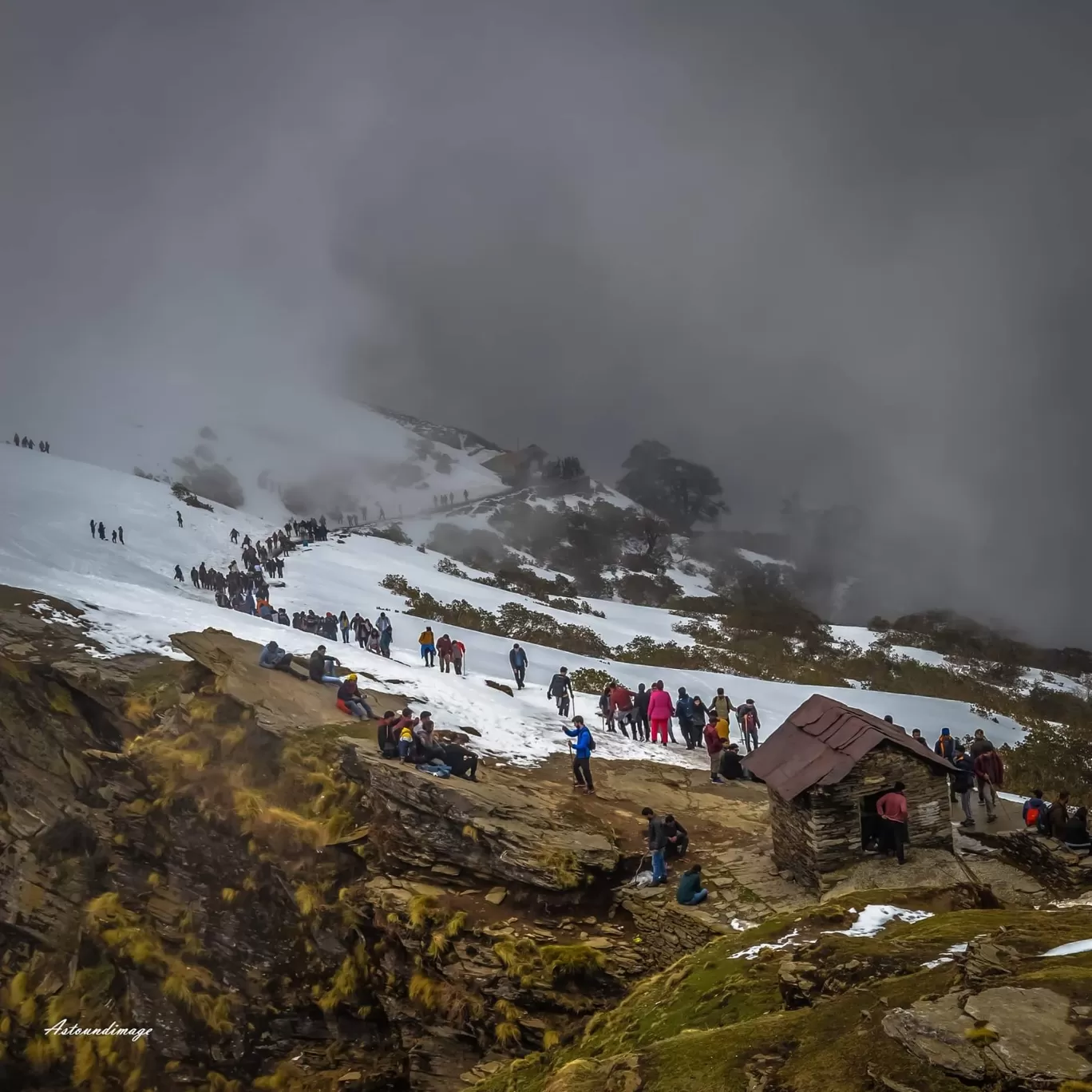 Photo of Chopta By prasenb