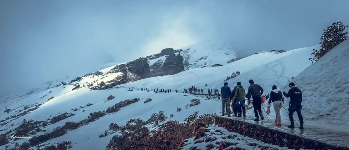 Photo of Chopta By prasenb