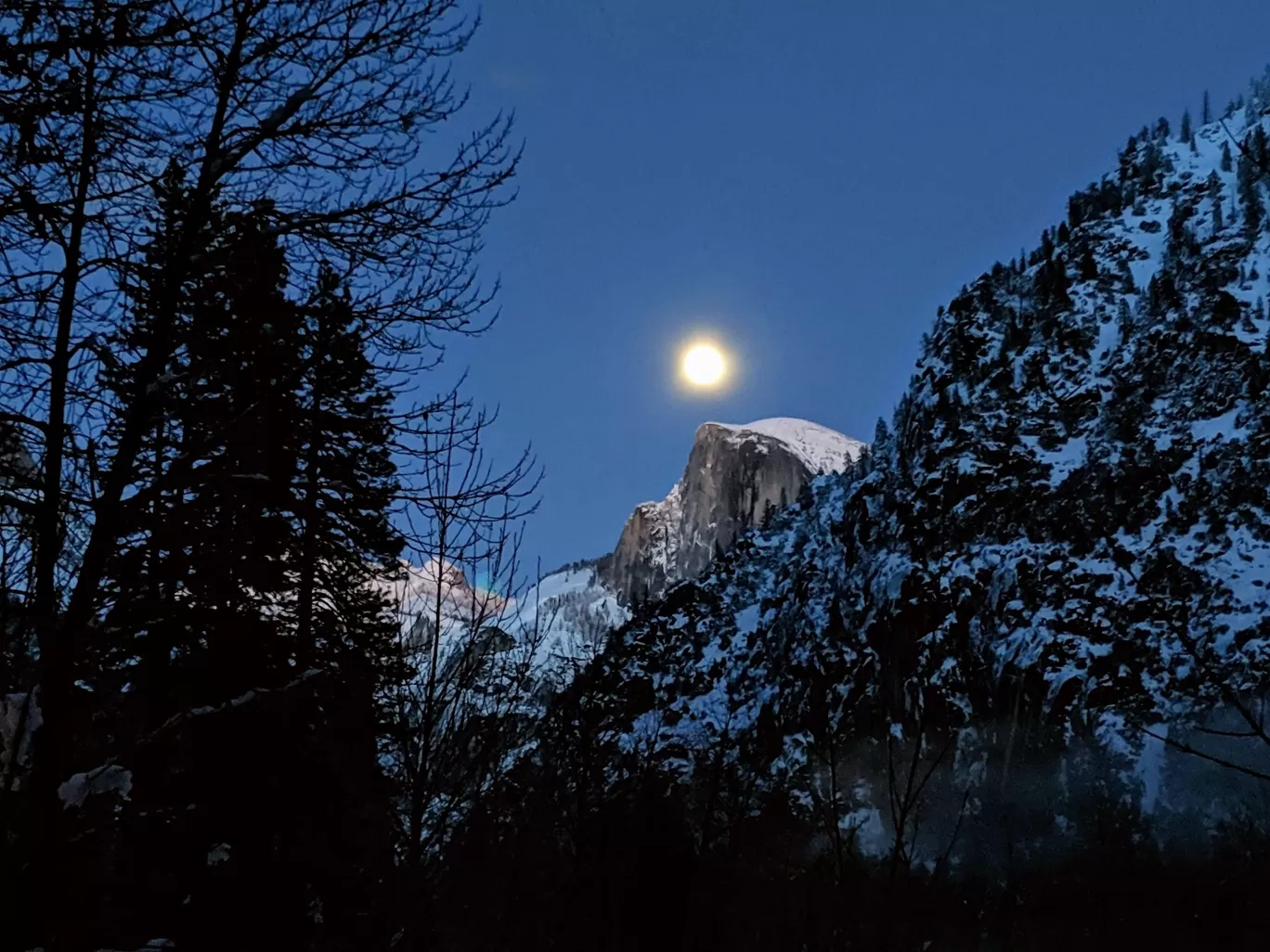 Photo of Yosemite Valley By Surbhi Verma