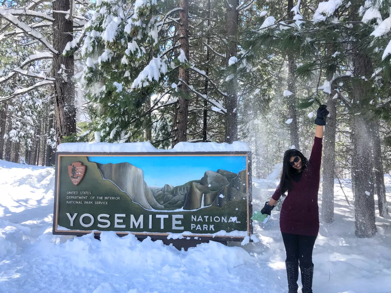 Photo of Yosemite Valley By Surbhi Verma