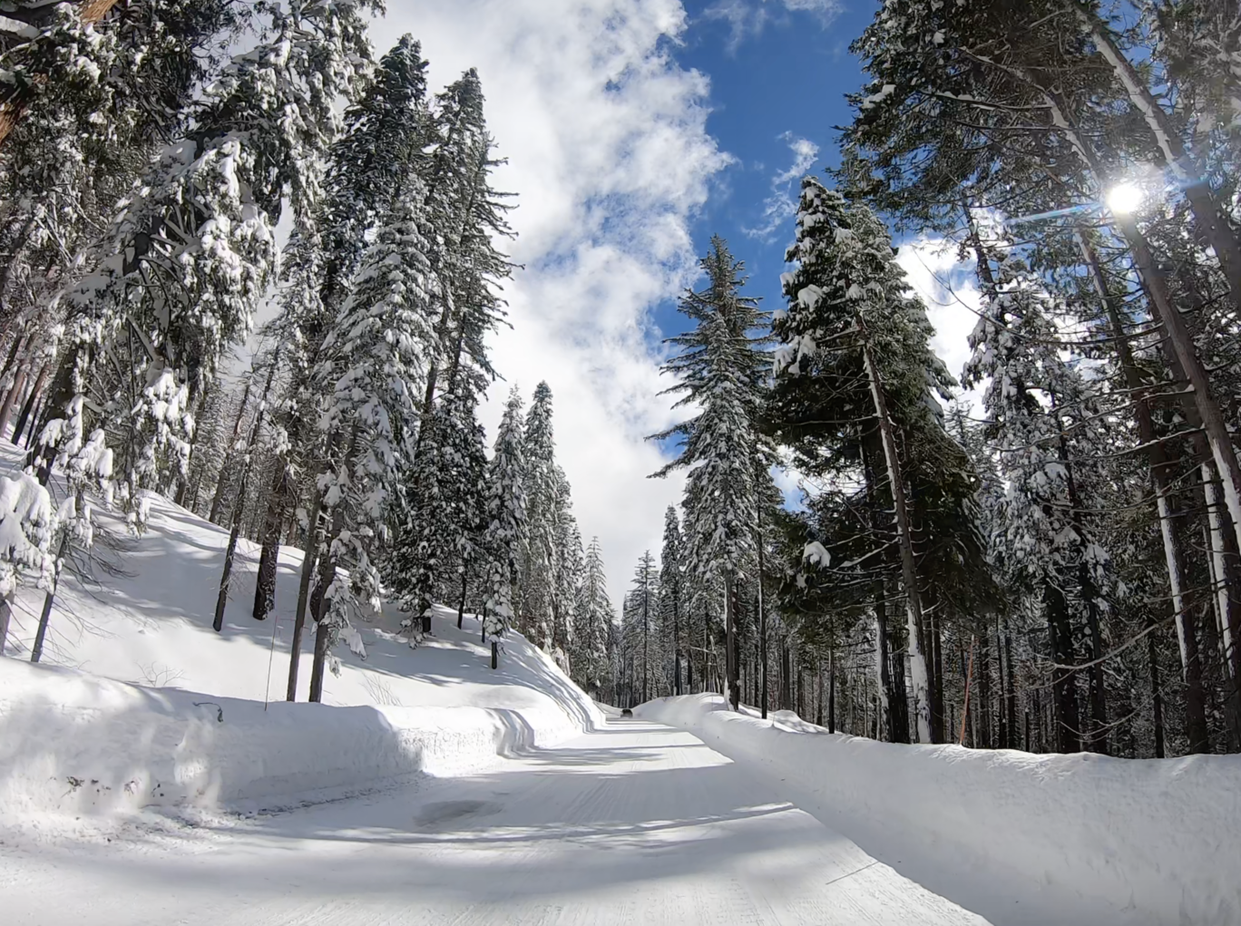 Photo of Yosemite Valley By Surbhi Verma