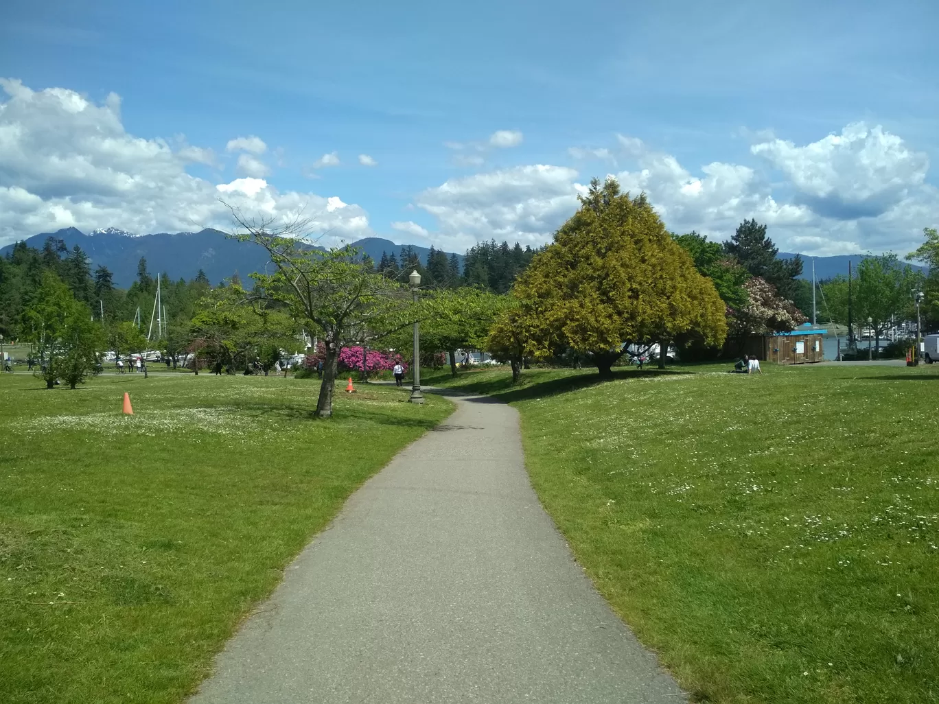 Photo of Vancouver By Mrinal Chaudhury