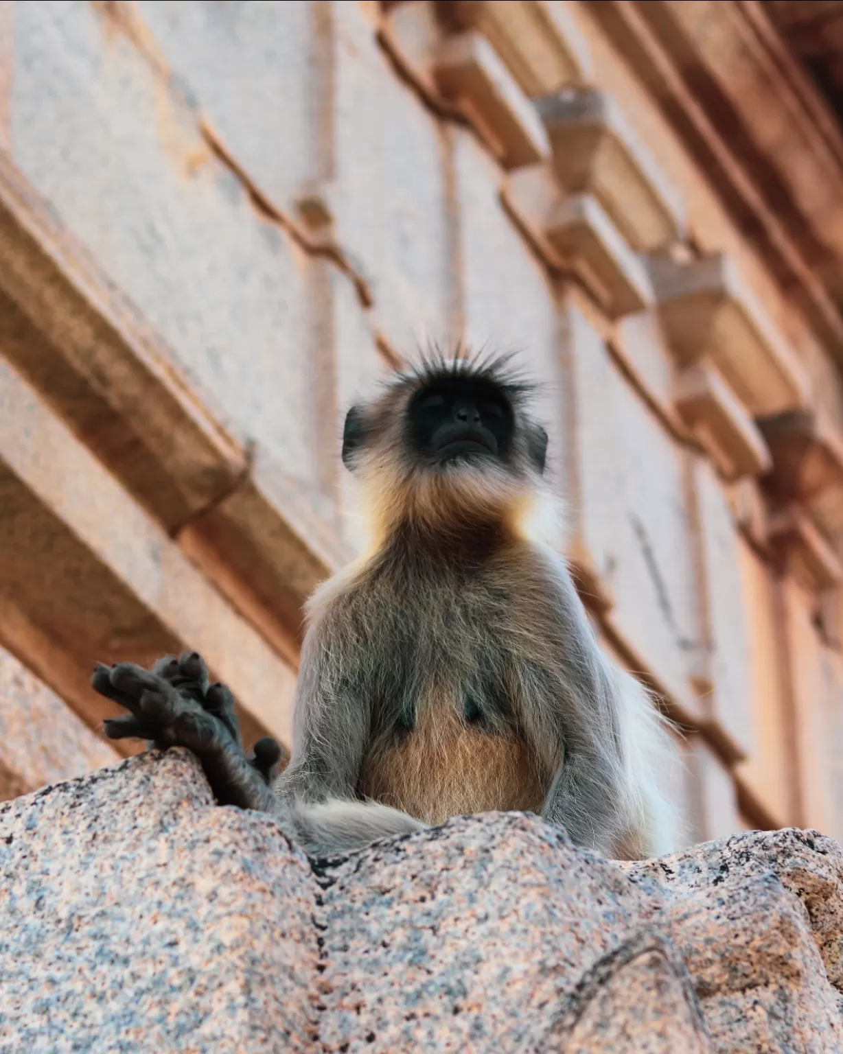 Photo of Hampi By Kashyap Kumar