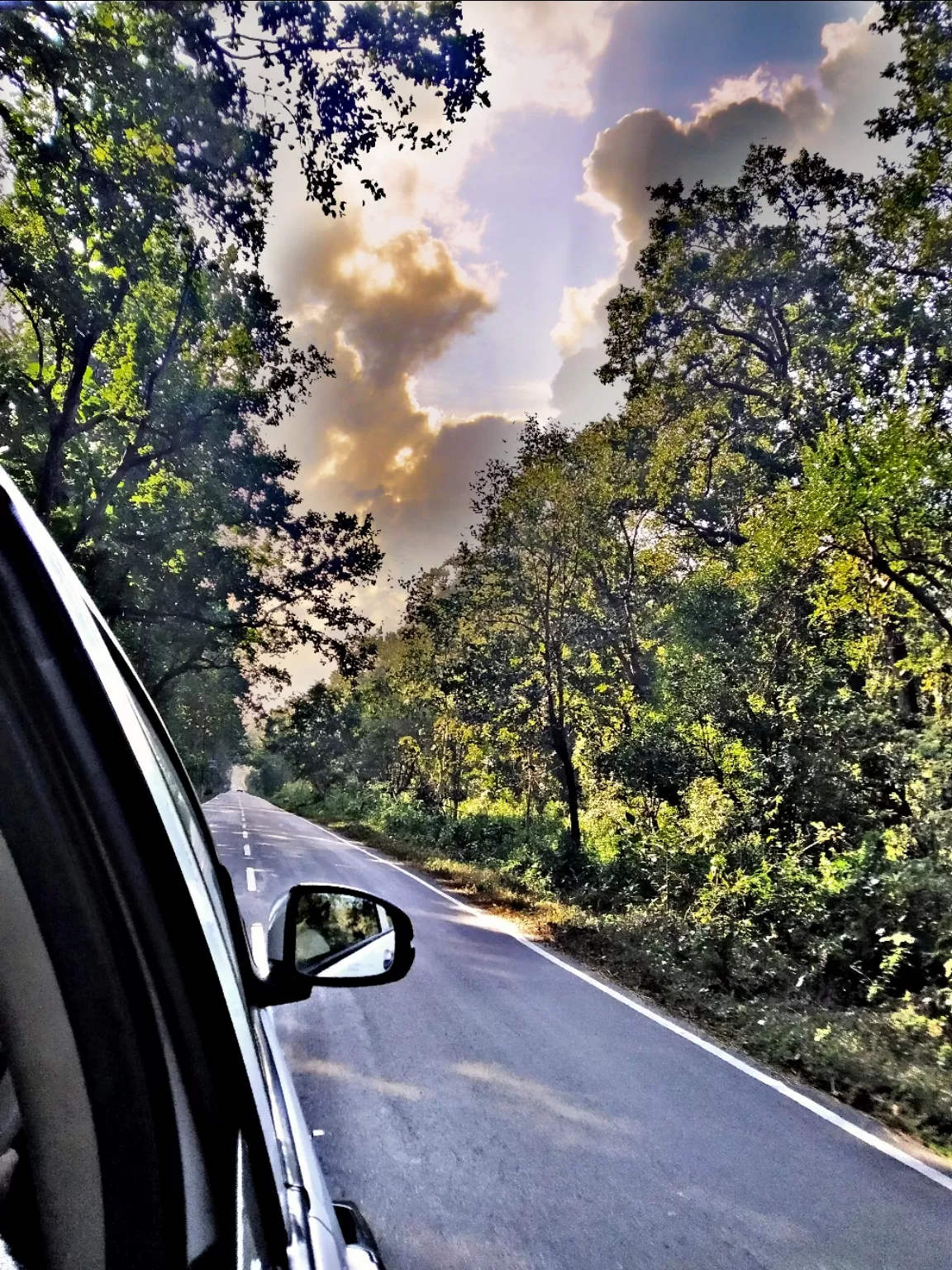 Photo of Rajaji National Park By Abhirup Saha