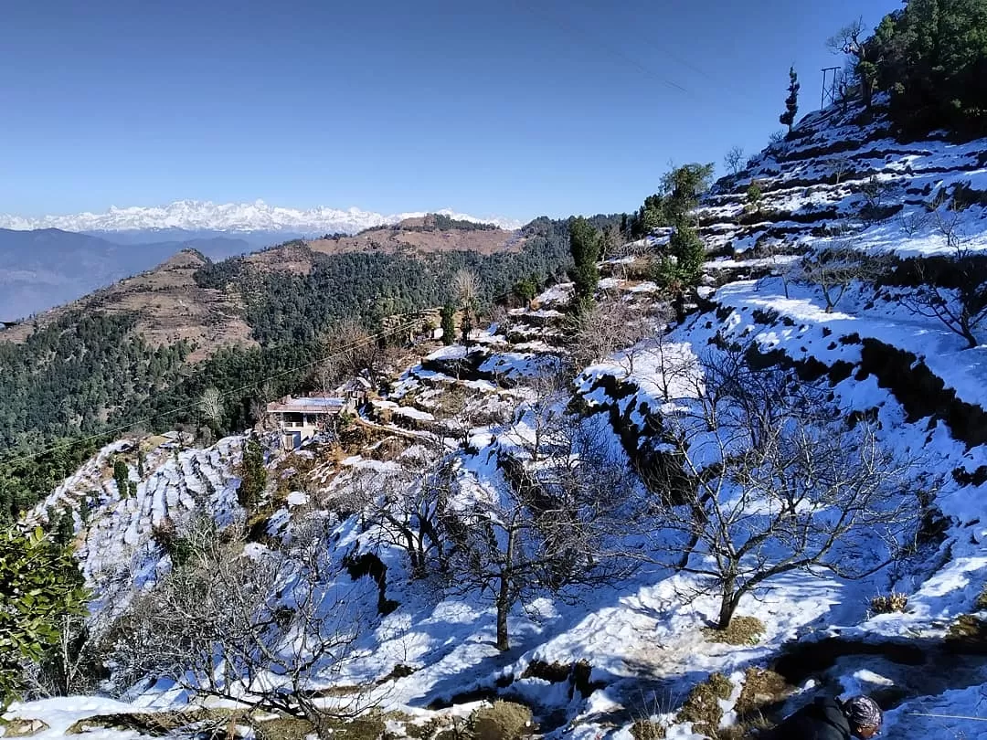 Photo of Kanatal By Abhirup Saha