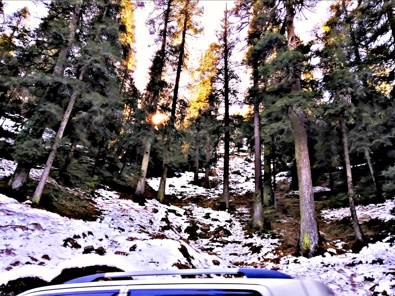 Photo of Kanatal By Abhirup Saha